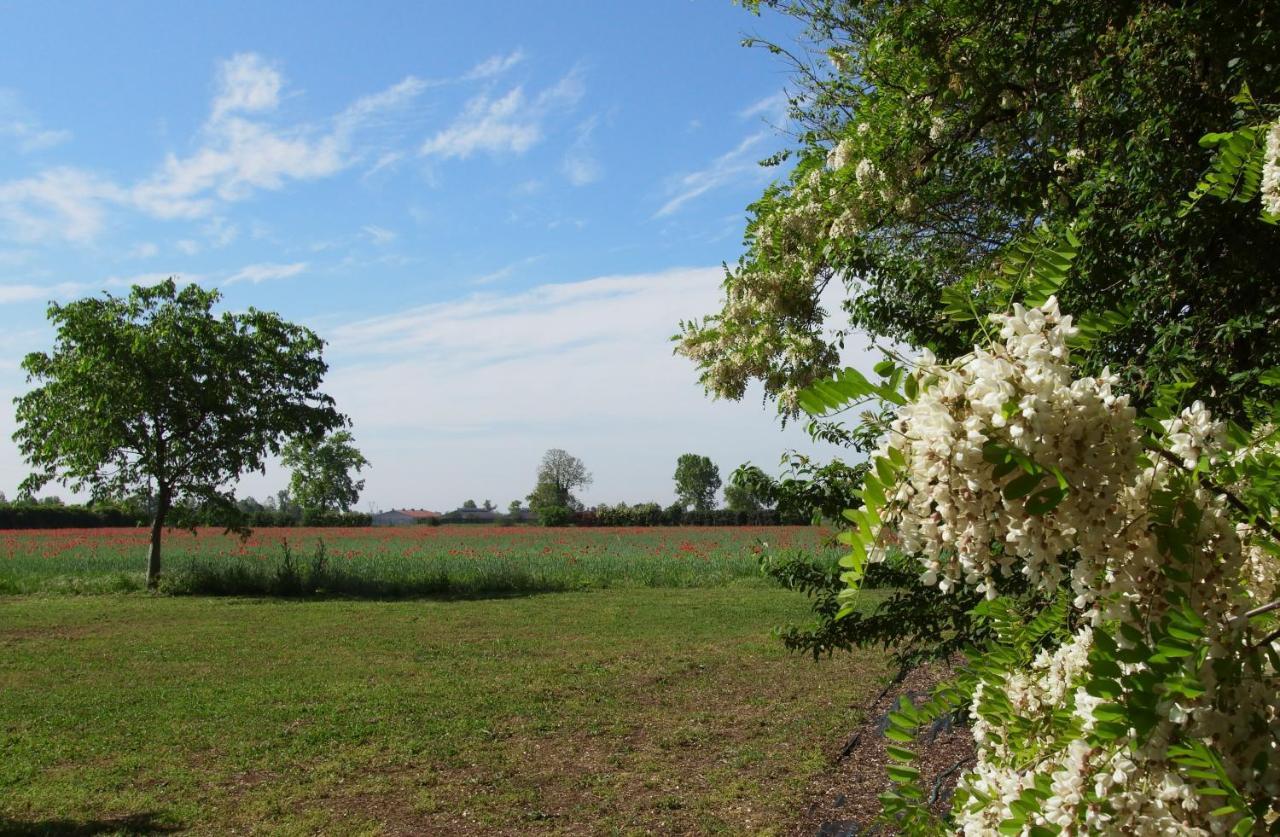 Agriturismo Fiorbello Montirone Εξωτερικό φωτογραφία